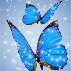 Meet your Posher, Selicia